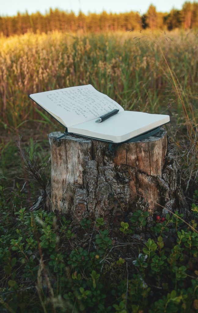 Open journal on top of tree stump | 7 Pieces of Writing to Help You Develop an Unconquerable Mindset and Live with Purpose